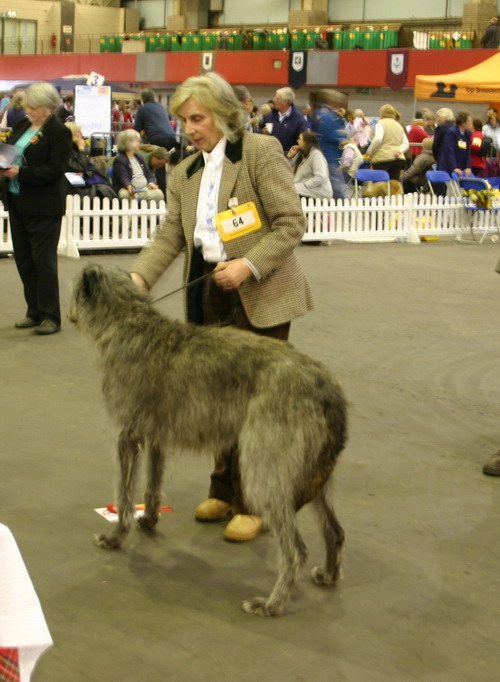 Greystiel Tanar by Brylach